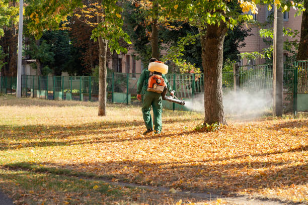 Pest Control for Restaurants in Tiltonsville, OH