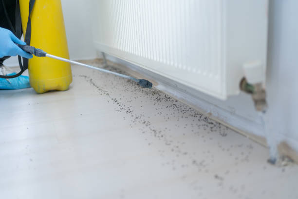 Best Insect Control  in Tiltonsville, OH